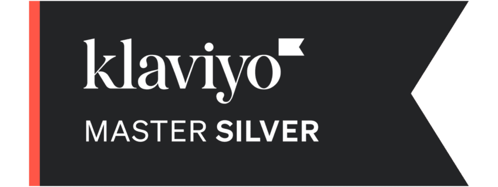 Klaviyo Partner